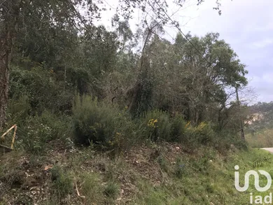 Terrain  à Santiago e São Simão de Litém e Albergaria dos Doze