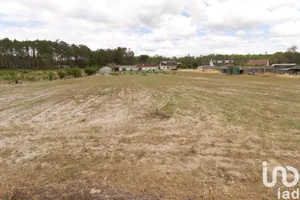 Terreno em Monte Redondo e Carreira