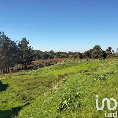 Terrain  à Santa Maria, São Pedro e Sobral da Lagoa