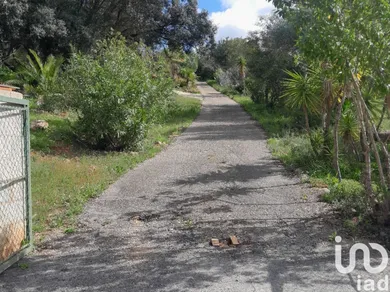 Terreno  em Paderne