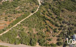 Terrain à Conceição e Estoi