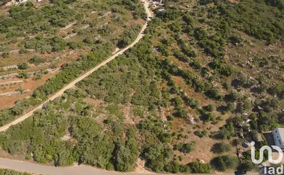 Fotografia 3 de Terreno de 6240 m² em Conceição e Estoi