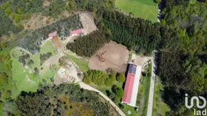 Shop/Premises commercial at Moledo