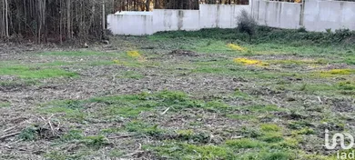 Building plot  in Galegos (Santa Maria)