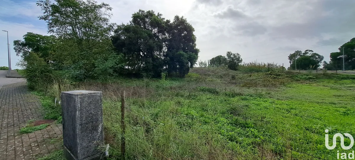 Terreno de 517 m² em Santarém (Marvila), Santa Iria Da Ribeira De Santarém, Santarém (São Salvador) E Santarém (São Nicolau)