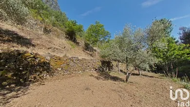 Terrain  à Álvaro