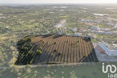 Building plot  in Conceição e Estoi