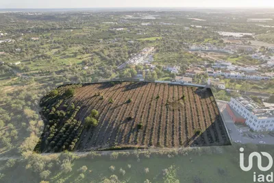 Fotografia 3 de Terreno urbano de 22 000 m² em Conceição e Estoi