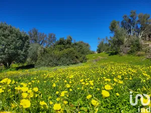 Land  at São Brás de Alportel