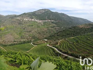 Terreno rústico em Vila Seca e Santo Adrião