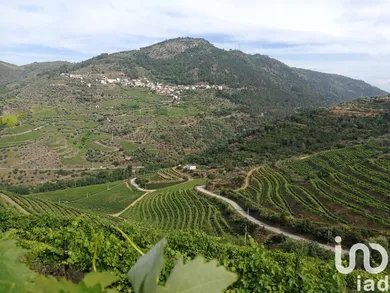 Terrain agricole à Vila Seca e Santo Adrião