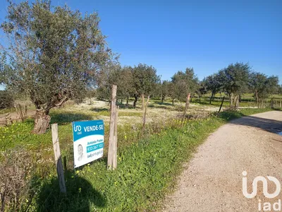 Fotografia 5 de Terreno rústico de 100 750 m² em Galveias