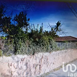 Terreno em Anta E Guetim