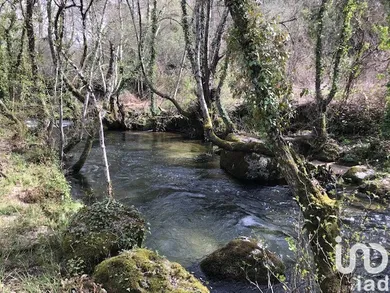 Terreno  em Parada de Gonta