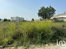 Land in Alvito (São Pedro E São Martinho) E Couto