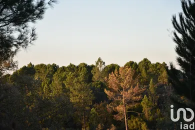 Terreno em Areias e Pias