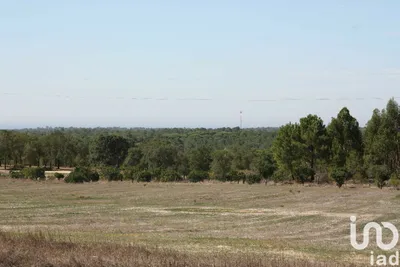 Fotografia 3 de Terreno urbano de 84 500 m² em Melides