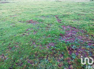 Terreno urbano  em Cervães