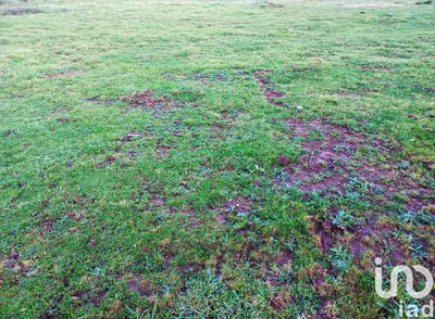 Fotografia 3 de Terreno urbano de 2600 m² em Cervães