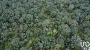 Terreno em Areias e Pias