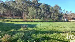 Terreno em Pereira