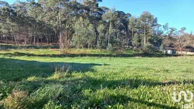 Terreno  em Pereira