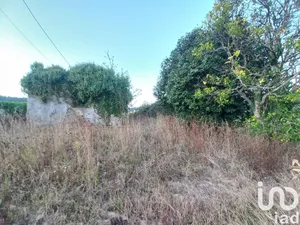 Casa/Moradia em Alheira E Igreja Nova