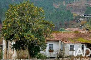 Casa tradicional em Gondomil e Sanfins