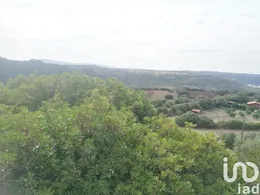 Terrain agricole à Igreja Nova e Cheleiros