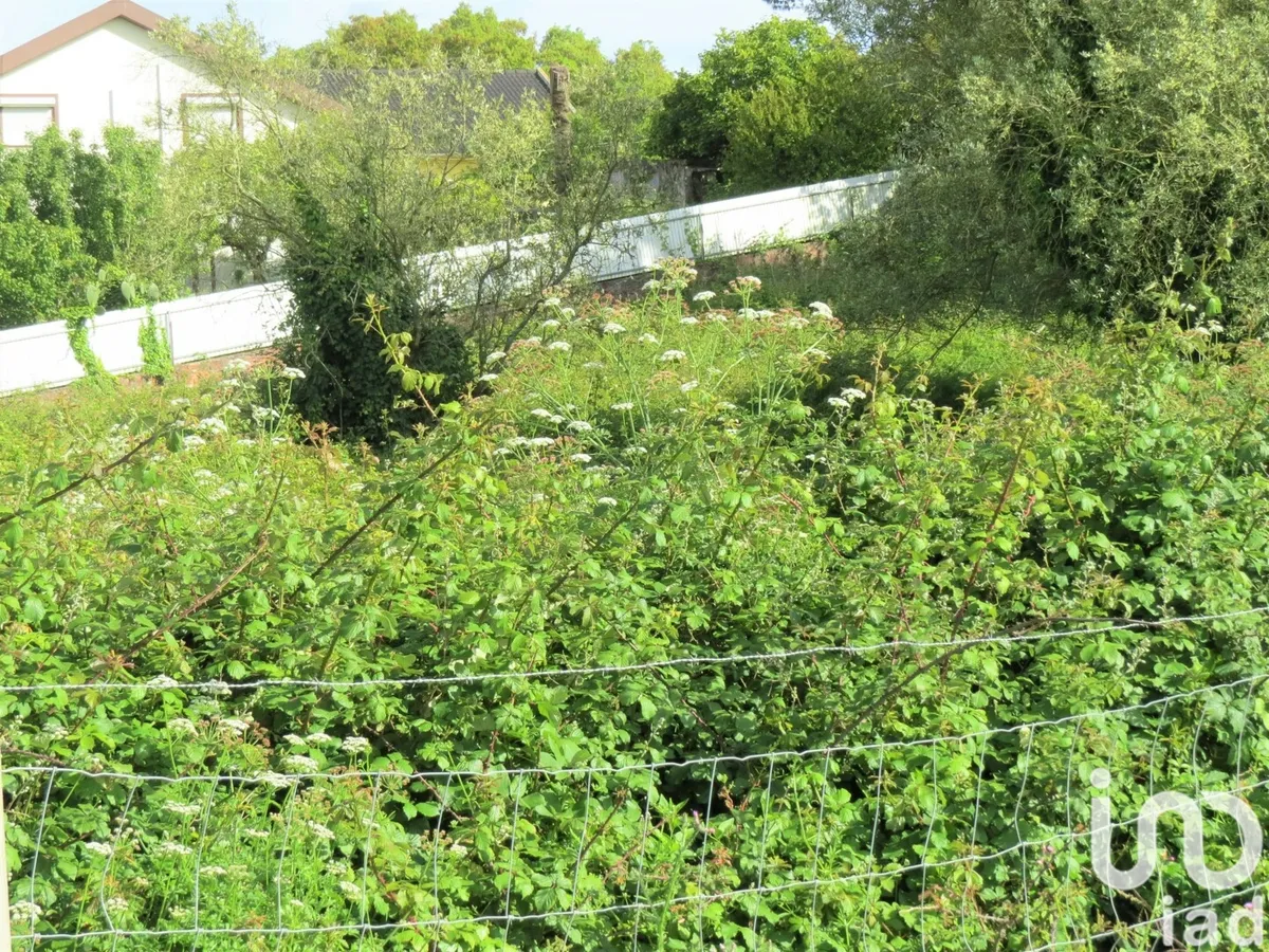 Terreno de 2360 m² em Malveira e São Miguel de Alcainça