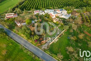 House in Conceição e Estoi
