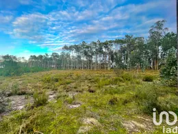 Terreno urbano em Monte Redondo e Carreira