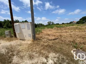 Terreno  em Cadaval e Pêro Moniz