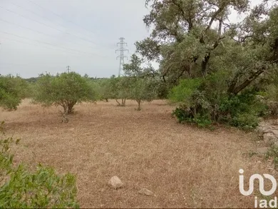 Terreno  em Conceição e Estoi