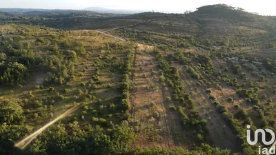 Fotografia 1 de Terreno de 8160 m² em Chãos