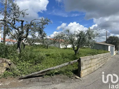 Fotografia 4 de Terreno rústico de 3000 m² em Corte Figueira Mendonça