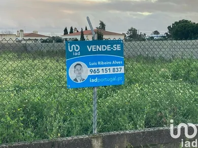 Land at Salvaterra de Magos e Foros de Salvaterra