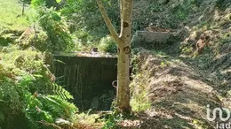 Terreno rústico em Sabadim