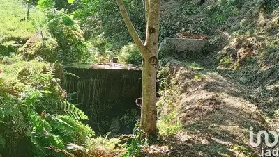 Fotografia 3 de Terreno rústico de 6500 m² em Sabadim