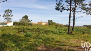 Farm land  at Olho Marinho