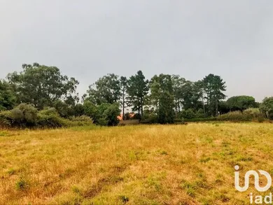 Land  in Colares