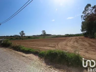 Terreno urbano  em Aveleda