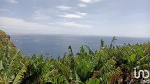 Terreno urbano  em Calheta