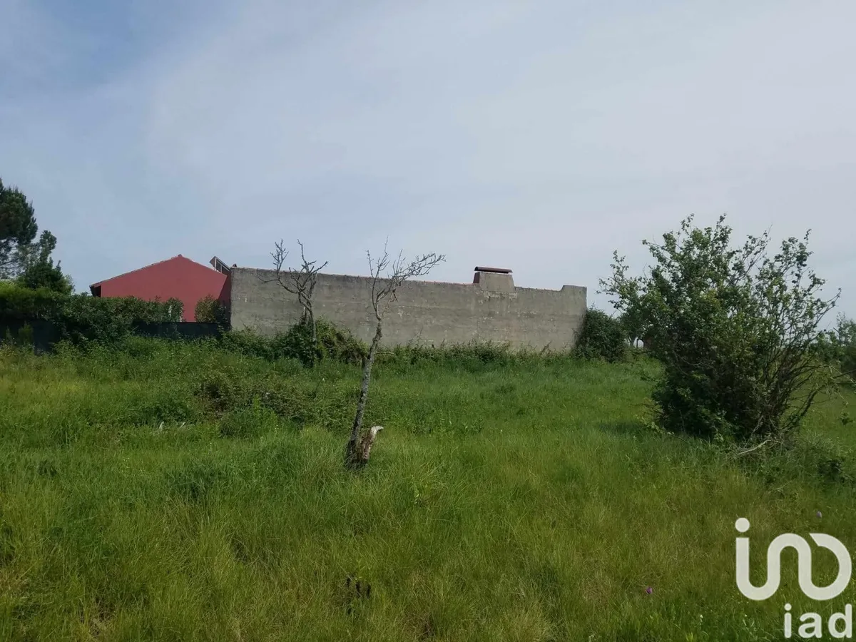 Terreno de 5880 m² em Carvalhal
