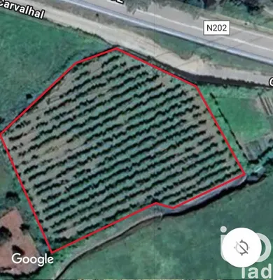 Terrain  à Prado e Remoães
