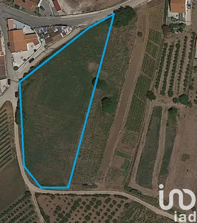 Fotografia 5 de Terreno de 525 m² em Cadaval e Pêro Moniz