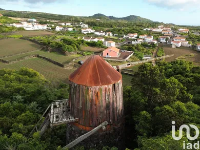 House  in Criação Velha