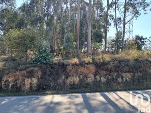 Terreno urbano  em Souto da Carpalhosa e Ortigosa