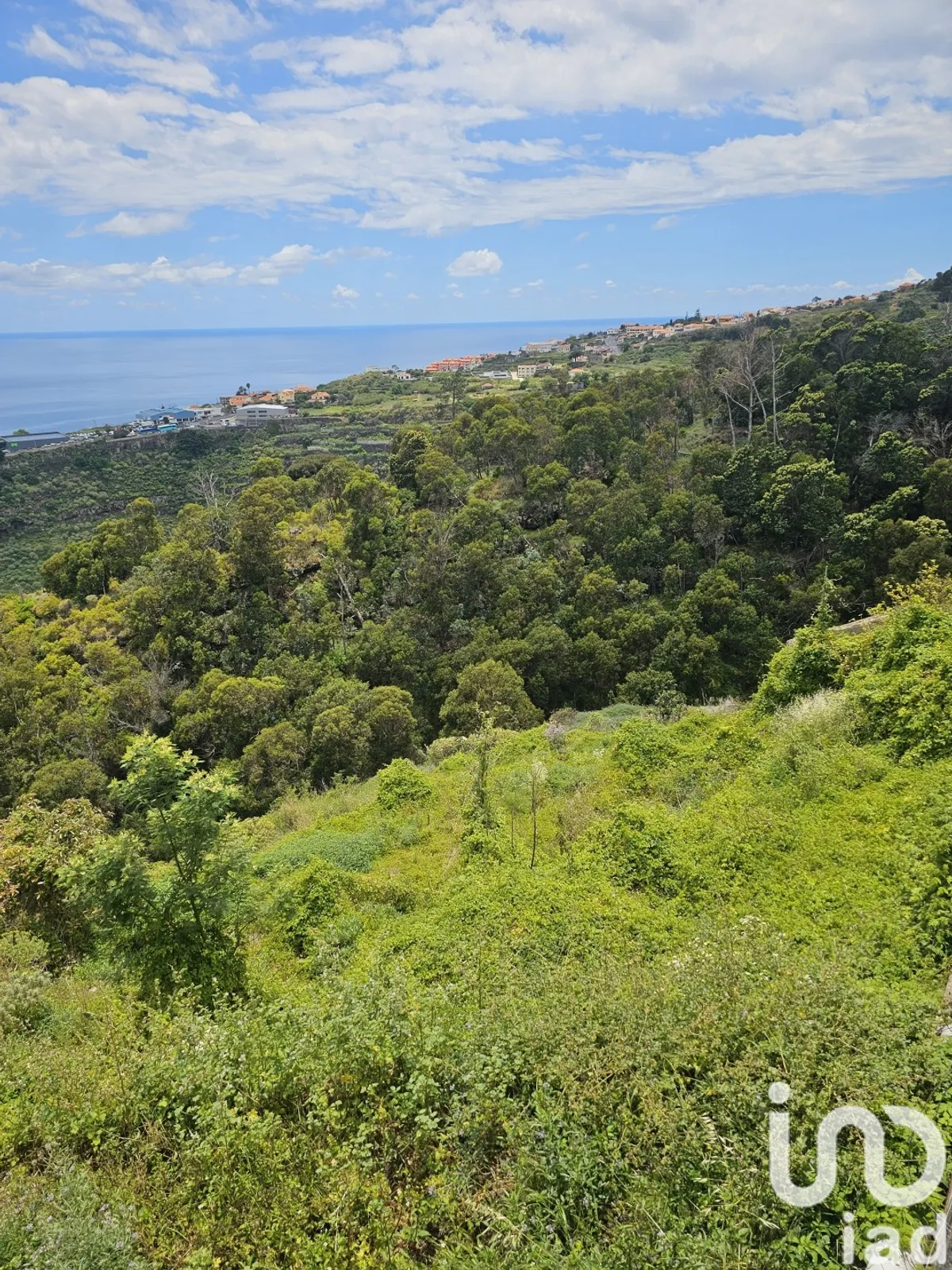 Terreno de 3370 m² em Gaula