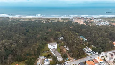 Prédio em Árvore